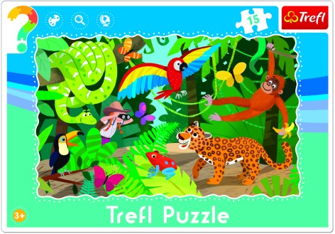 Головоломки - (15 Элм. Рамкой) - 