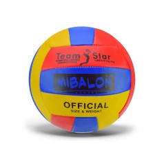 Мяч волейбольный 