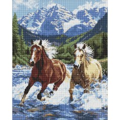 Алмазна мозаїка "Сила у русі" AMO20010, 40х50 см