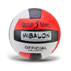 Мяч волейбольный 