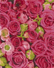 Картина по номерам. Art Craft 