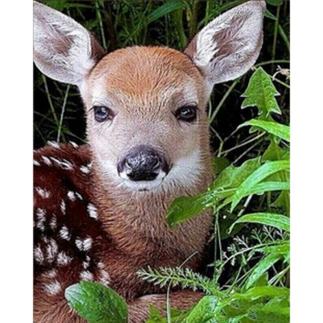 Алмазна мозаїка 