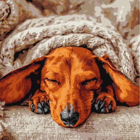 Картина за номерами 