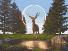 Картина по номерам. Art Craft 