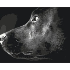 Картина по номерам 