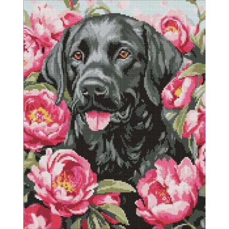 Алмазна мозаїка 