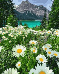 Картина за номерами. Brushme "Ромашки у гір" GX29451