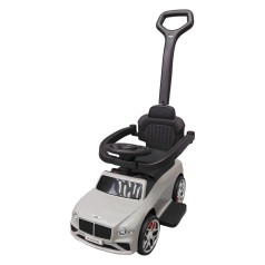 Дитяча Каталка-толокар 2 в 1 M 6252EL-11 до 20 кг