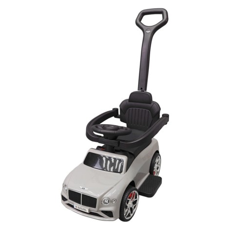 Дитяча Каталка-толокар 2 в 1 M 6252EL-11 до 20 кг