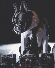 Картина по номерам. Art Craft 