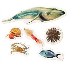 Детский набор магнитов 