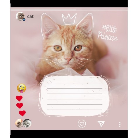 Зошит учнівський 