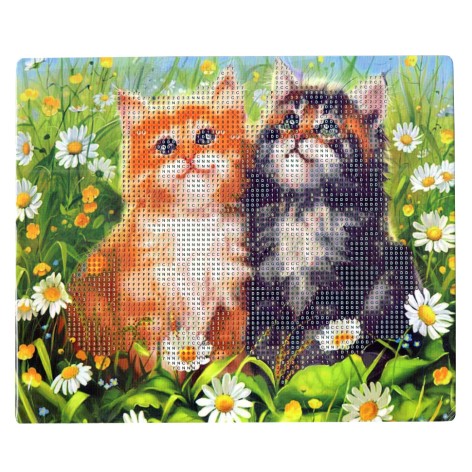 Алмазная мозаика "Двое в ромашках" 178762 картон, неполная выкладка 21х25 см