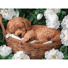 Картина за номерами 