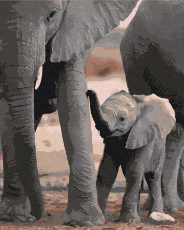 Картина за номерами. Art Craft 