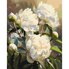 Картина за номерами "Гармонія півоній" LW3533, 40х50 см