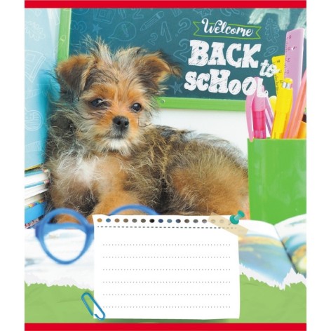 Зошит учнівський 