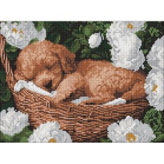 Алмазная мозаика 