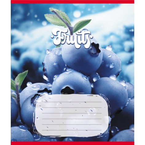 Зошит учнівський 