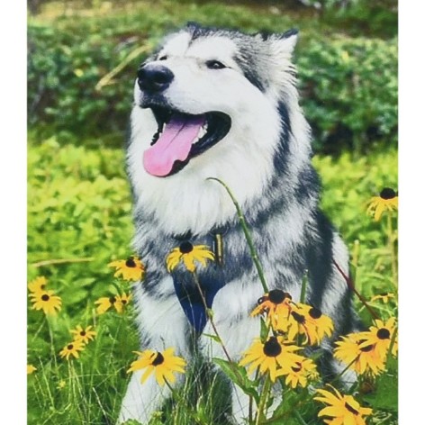 Алмазна мозаїка "Мить щастя" HEG88137 30х40 см 