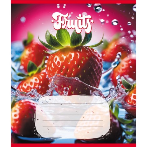 Зошит учнівський 