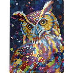 Алмазна мозаїка "Сова" Brushme DM3005 з мольбертом 17x22.5 см