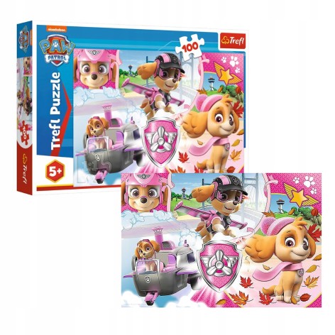 Пазлы - (100 Элм.) - 