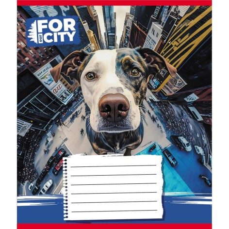 Зошит учнівський 