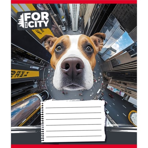 Зошит учнівський 