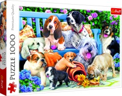 Головоломки - (1000 Элм.) - 
