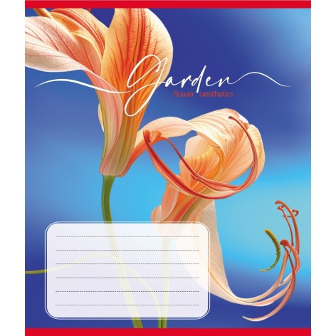 Зошит учнівський 