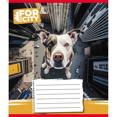 Зошит учнівський 