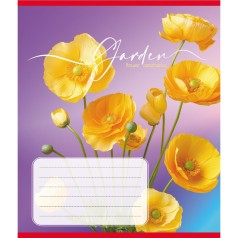 Зошит учнівський "Естетика" 024-550443K-2 в клітинку, 24 аркуші