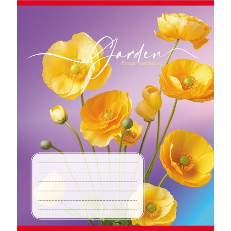 Зошит учнівський 