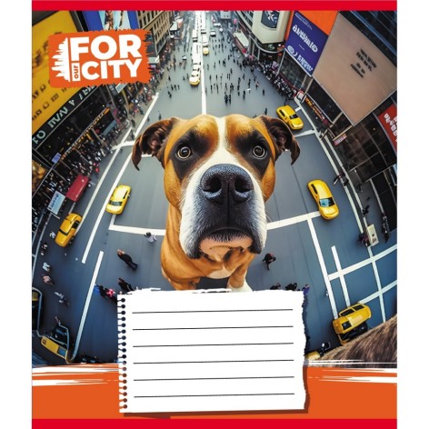 Зошит учнівський 