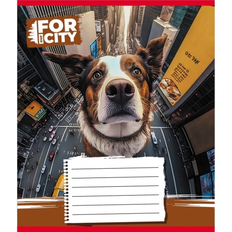 Зошит учнівський 