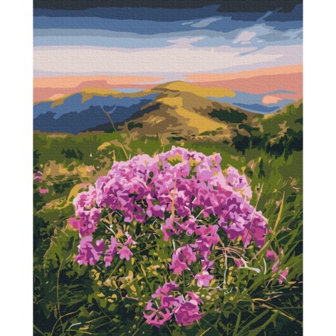 Картина за номерами 