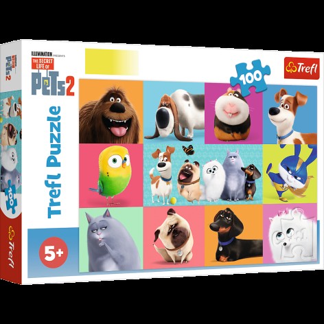 Пазли - (100 елм.) - 