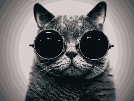 Картина за номерами. Art Craft 