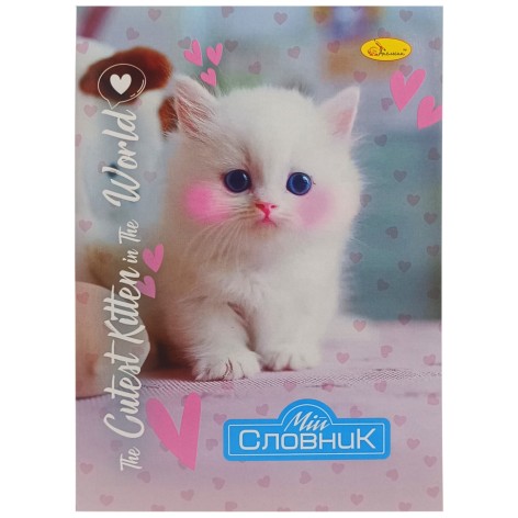 Зошит-словник з іноземної мови 