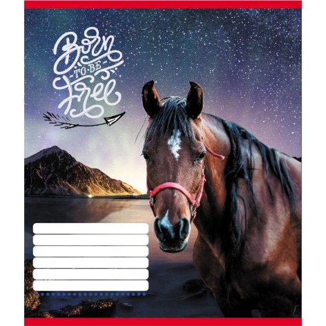 Зошит учнівський 