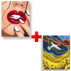 Набір картин за номерами 2 в 1 