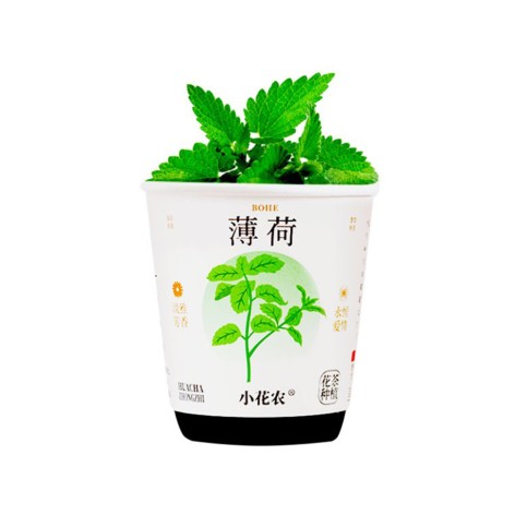 Ботанічні експерименти 