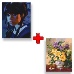 Набір картин за номерами 2 в 1 