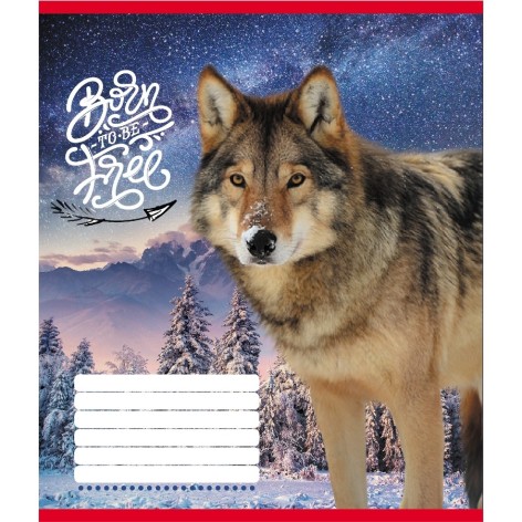 Зошит учнівський 