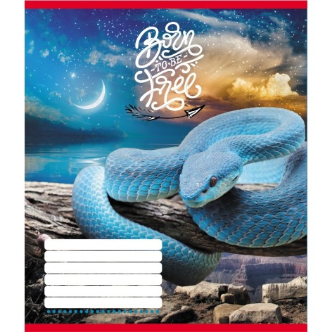 Зошит учнівський 