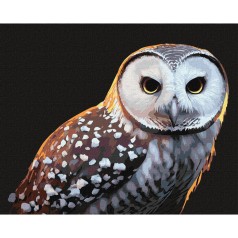 Картина по номерам 