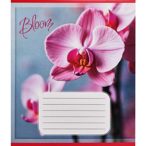 Зошит учнівський 