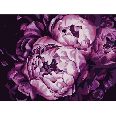 Картина по номерам 