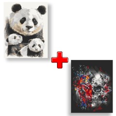 Набір картин за номерами 2 в 1 